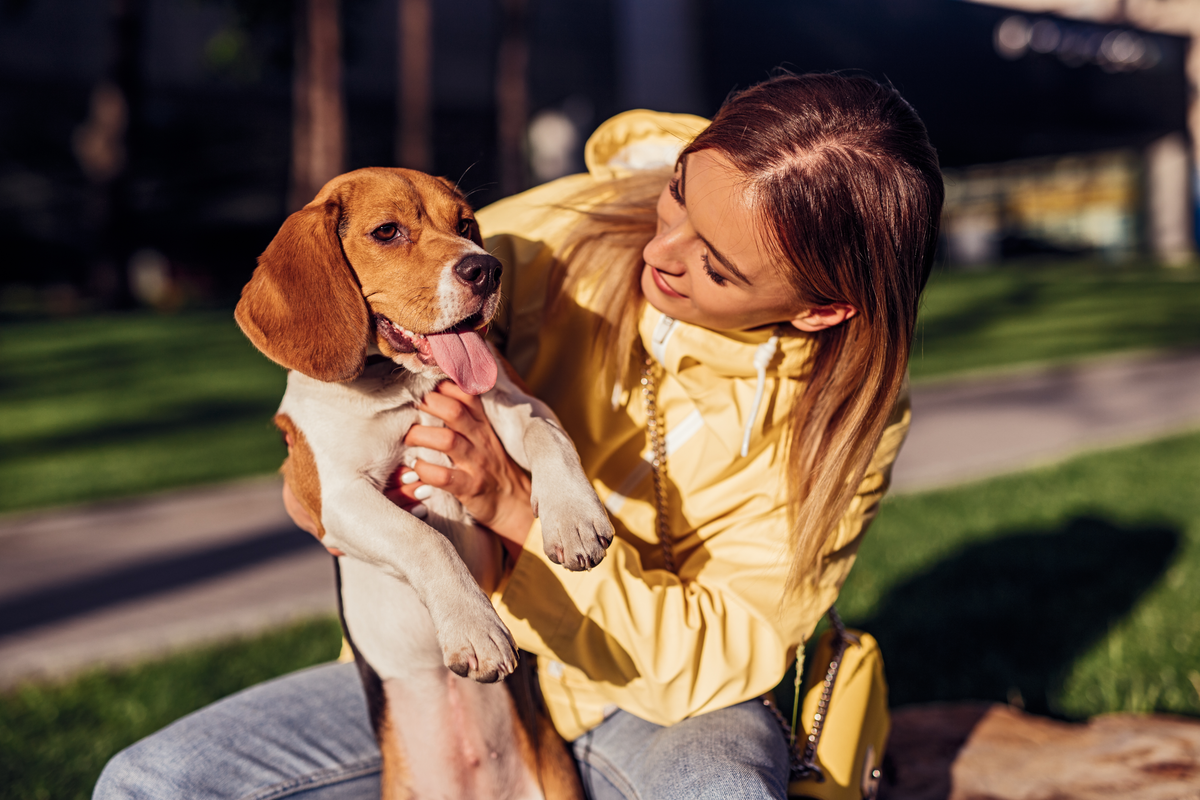 Immunsystem stärken – Hund unterstützen