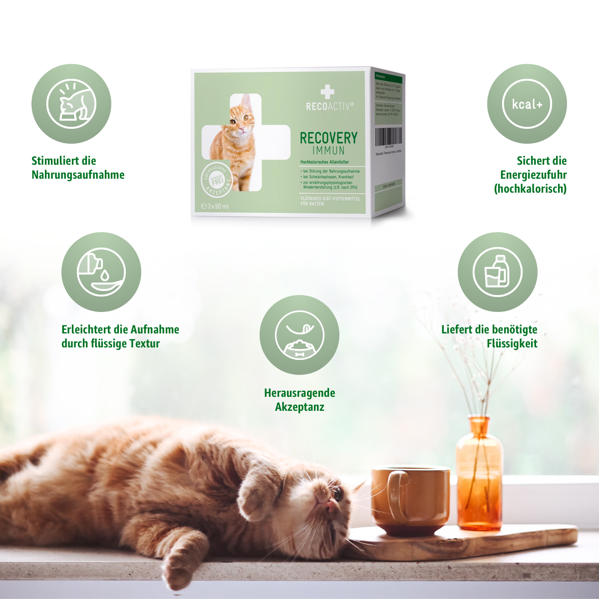 RECOACTIV® Recovery Immune Tonic for underweight cats