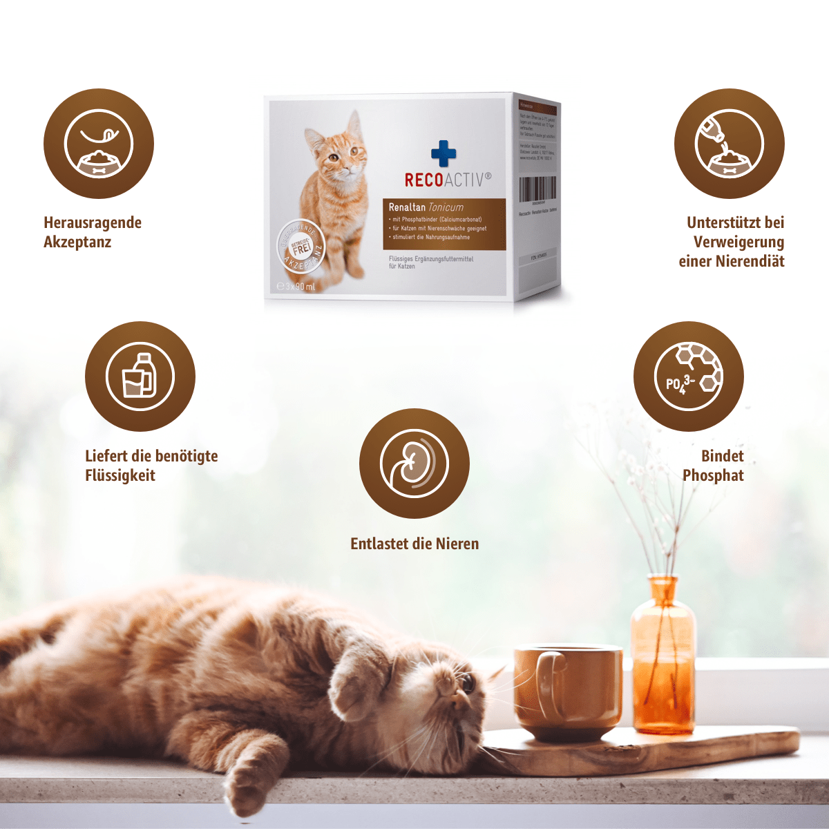 Renaltan Tonicum - RECOACTIV DERenaltan TonicumKatzeRenaltan TonicumRECOACTIV®RECOACTIV DE300001203242602437530713x90 ml