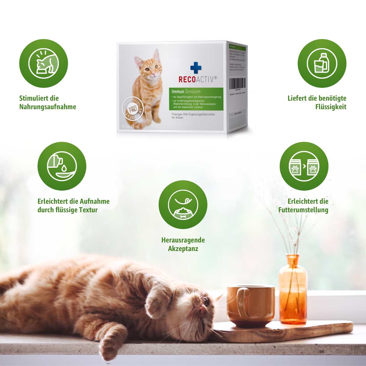 RECOACTIV® Immun Tonicum für immunschwache Katzen