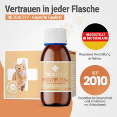 Recovery Renal Tonic