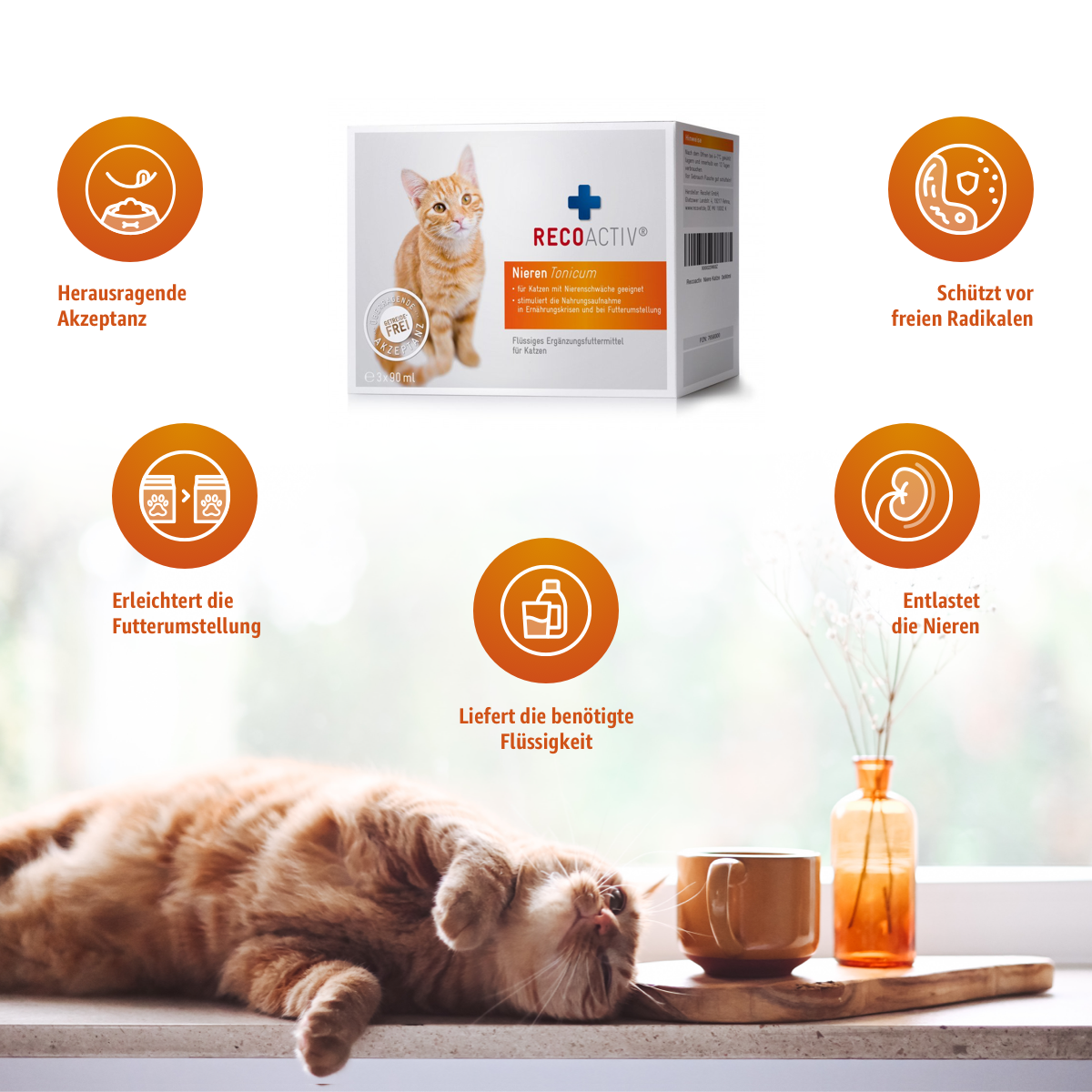 RECOACTIV® Nieren Tonicum für nierenkranke Katzen